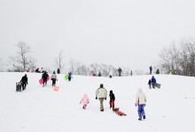 jan-sledders