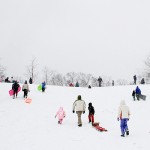 jan-sledders